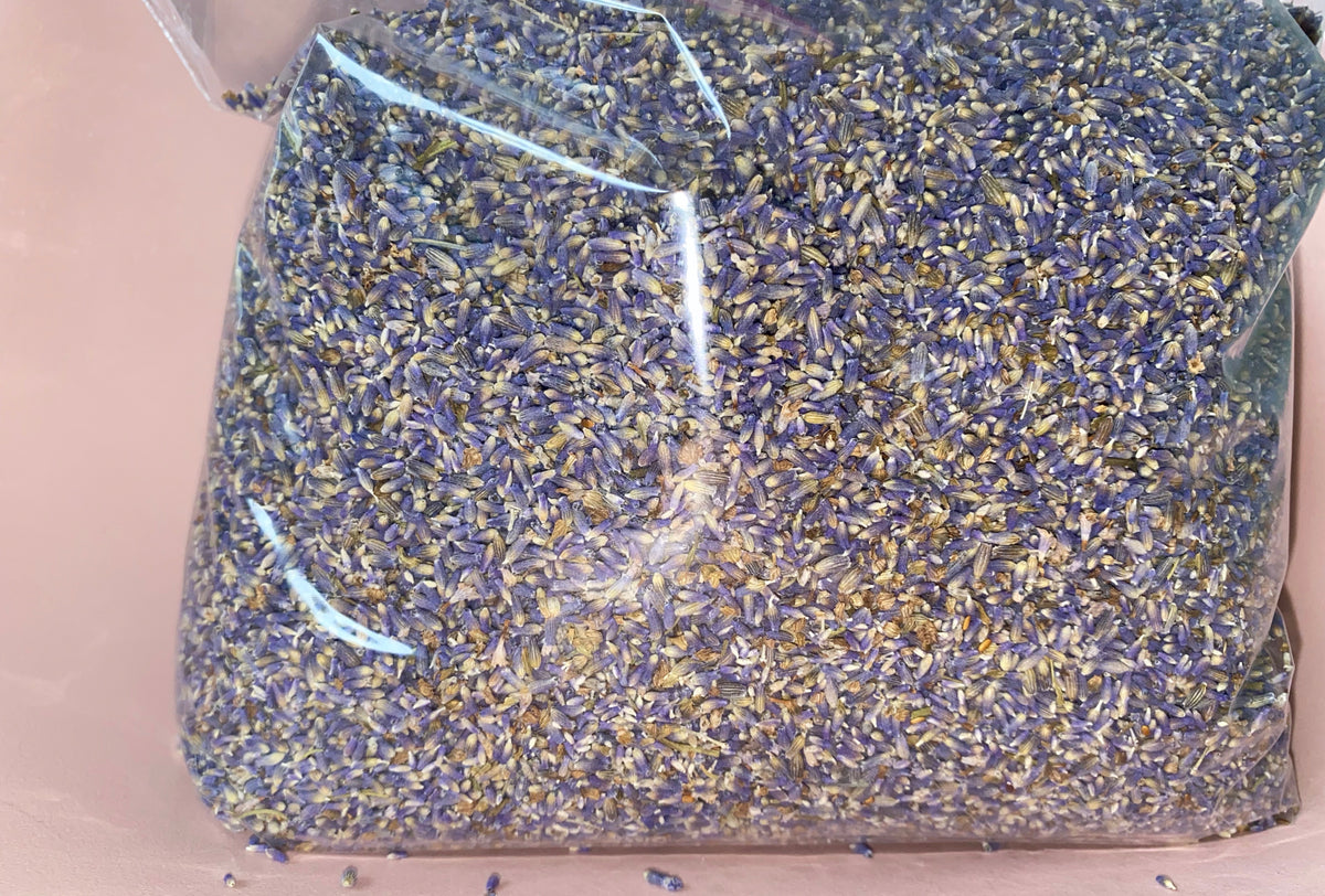 LAVENDER BUD