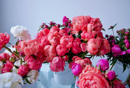 CARAMELS + SEASONAL BUNCH