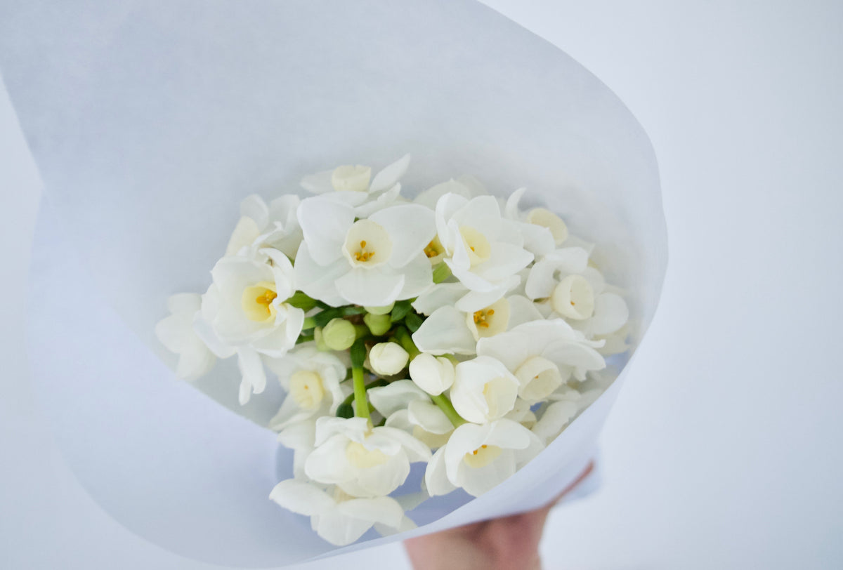 BULK FLOWERS + ONLINE TUTORIAL