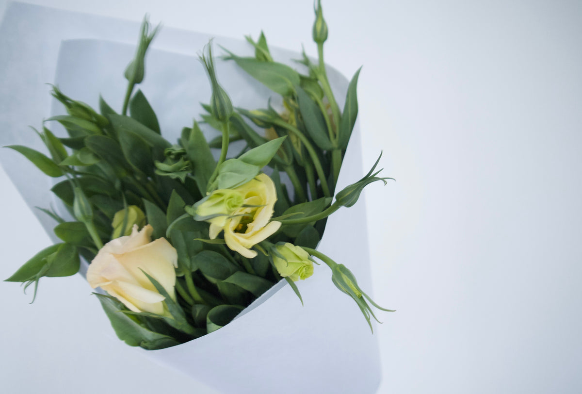 BULK FLOWERS + ONLINE TUTORIAL