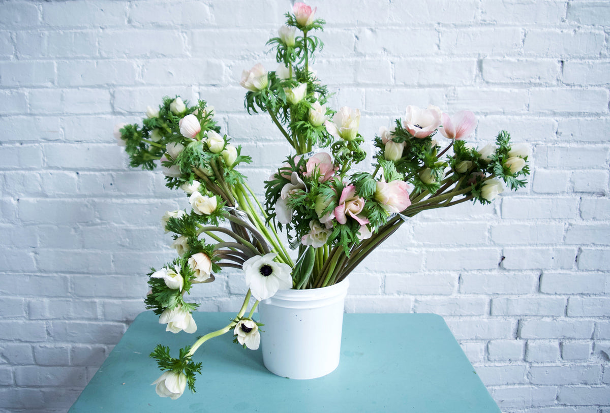 ANEMONES / PER BUNCH