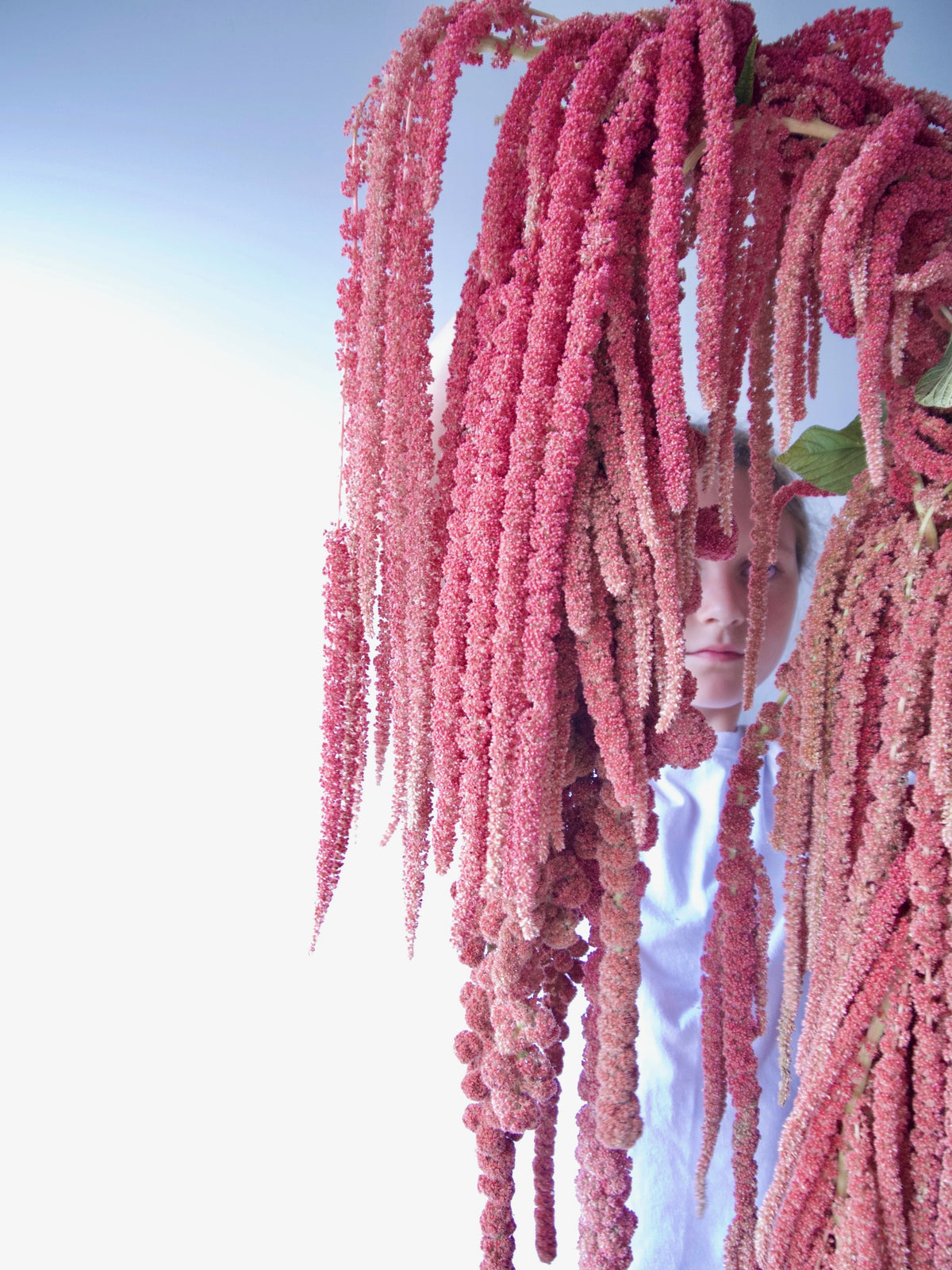 Hanging Amaranth Garland. Wedding Florist.