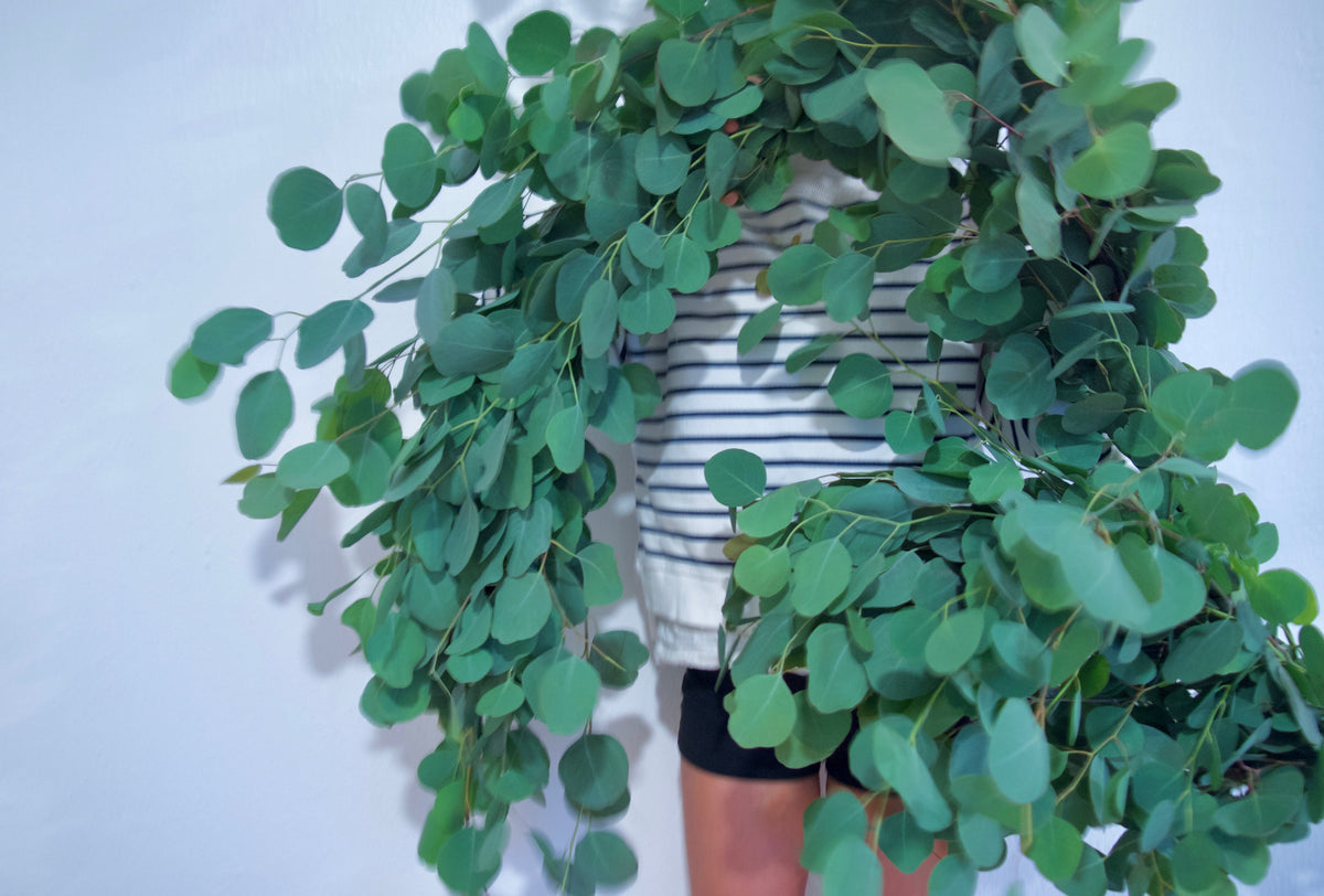 Eucalyptus Wreath | Send Wreaths Online