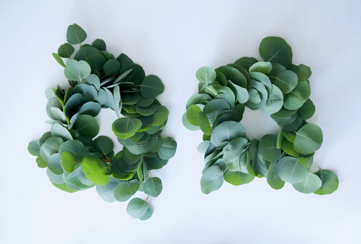 TWO SM. EUC WREATHS