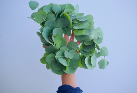 TWO SM. EUC WREATHS