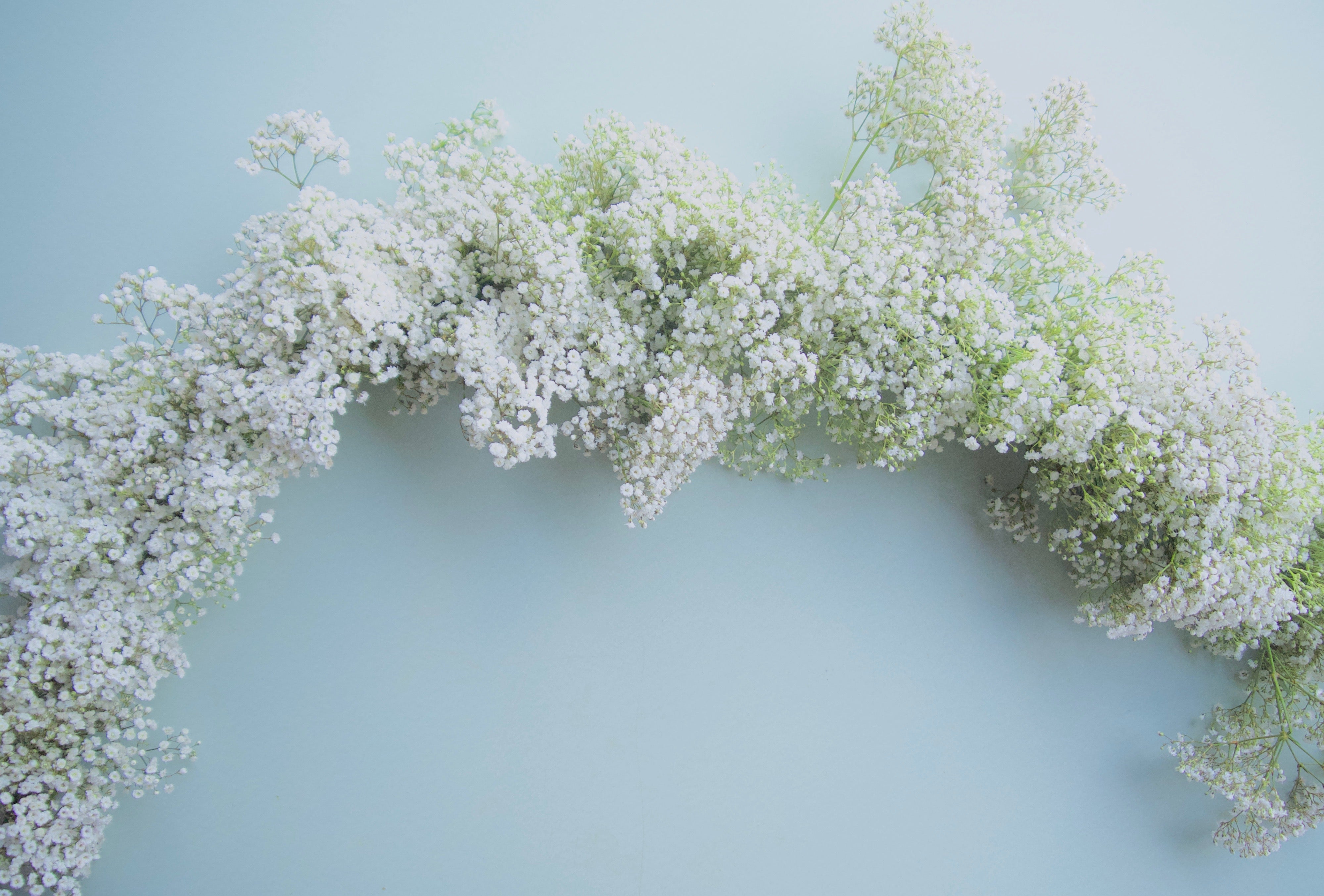 6' Gypso Baby's Breath Garland