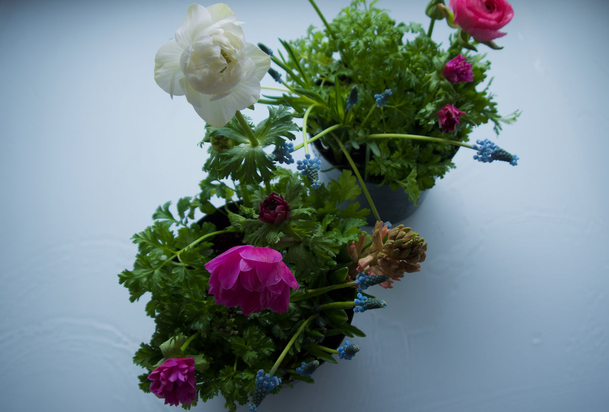 SPRINGTIME PLANTER