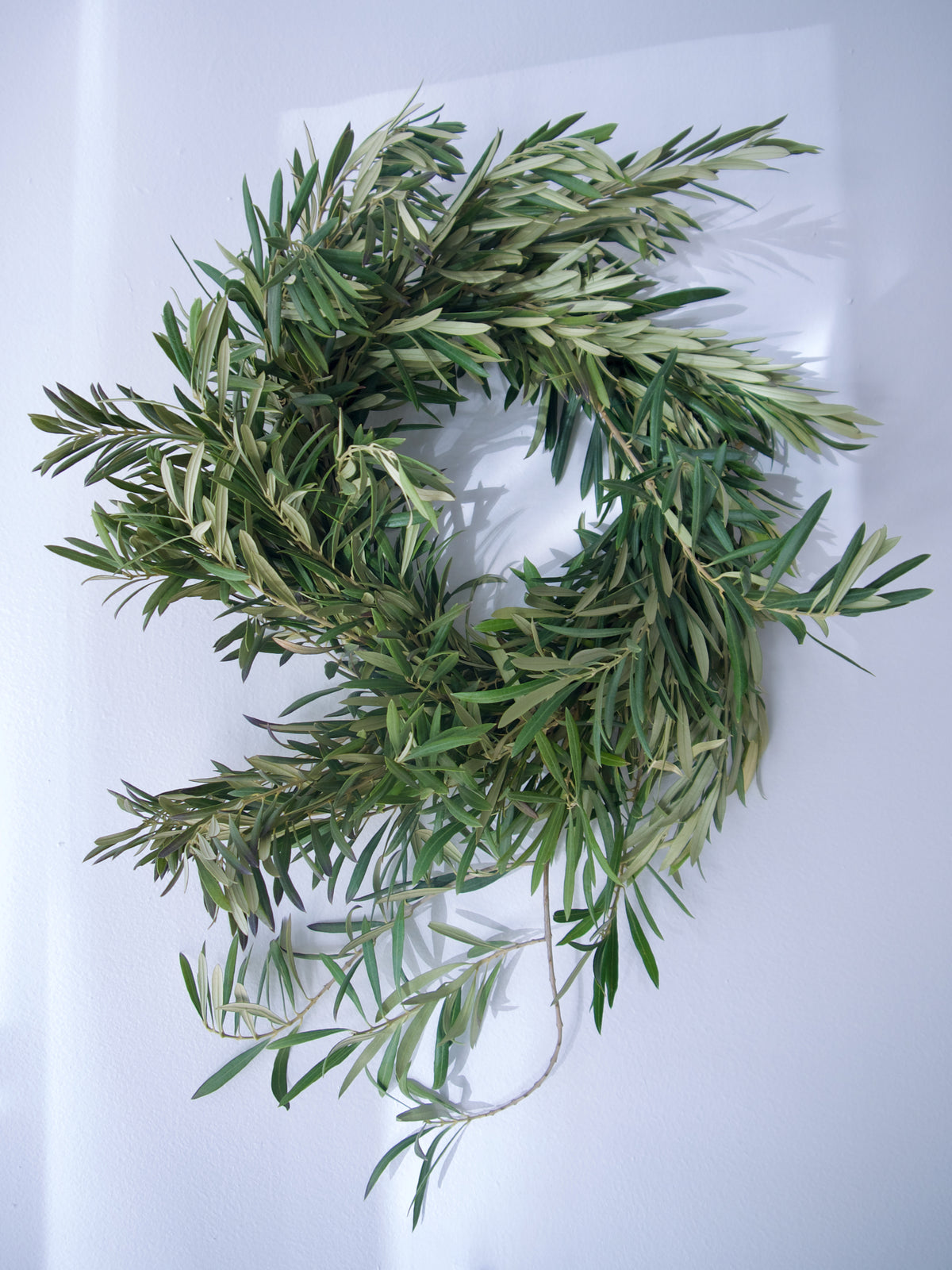 OLIVE WREATH