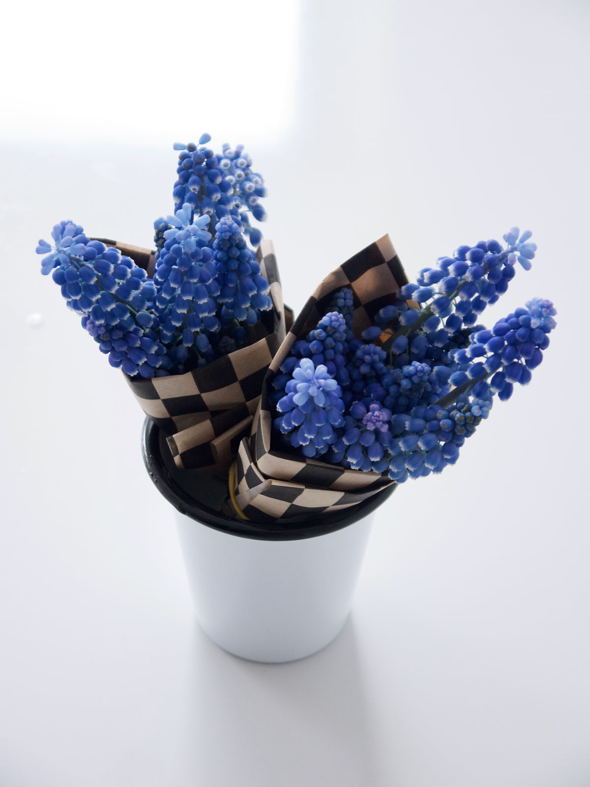 MUSCARI / PER BUNCH