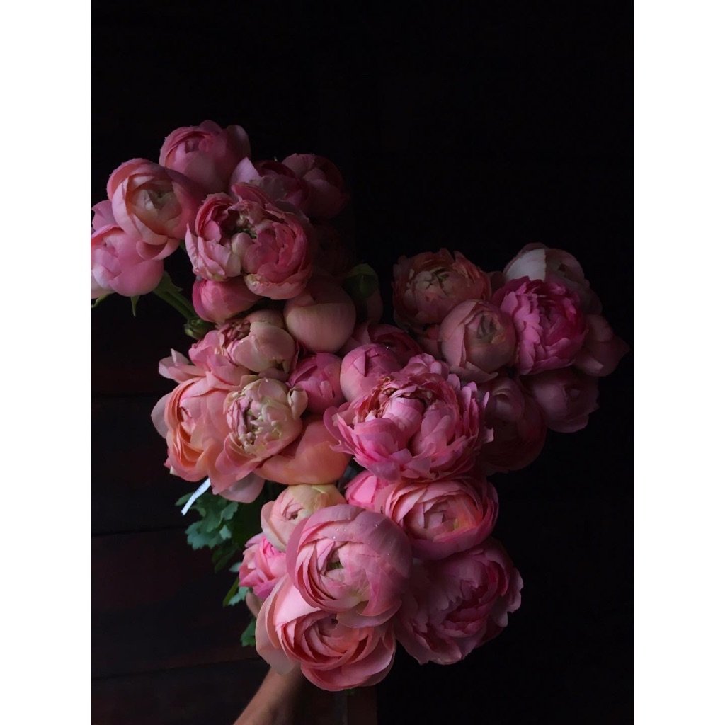 Ranunculus. Bulk flowers for weddings. Florists Vancouver WA. Wedding Flowers. Send flowers online.