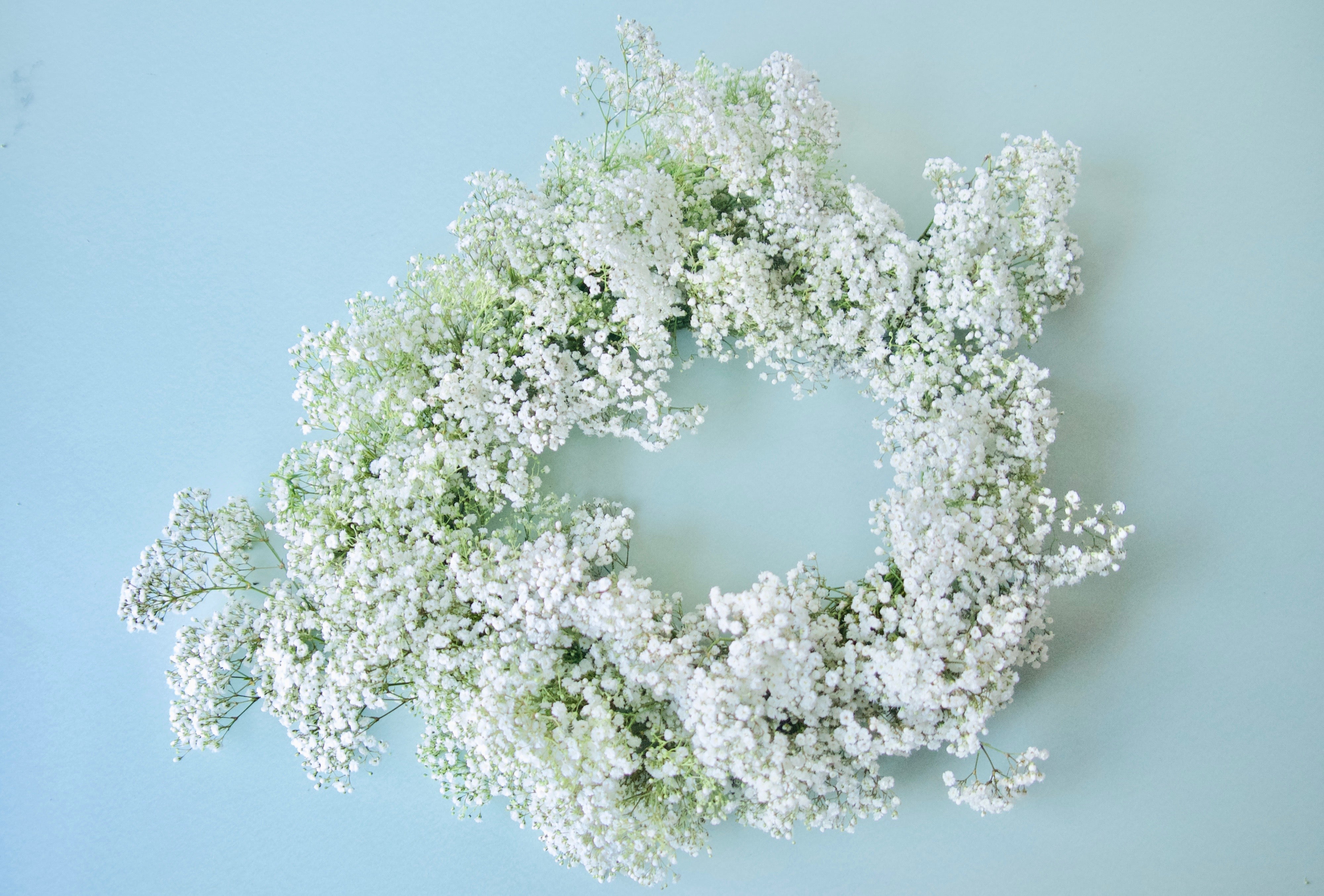 BABY'S BREATH WREATH – FIELDWORK