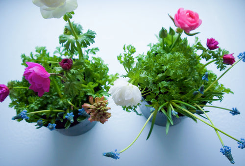 SPRINGTIME PLANTER