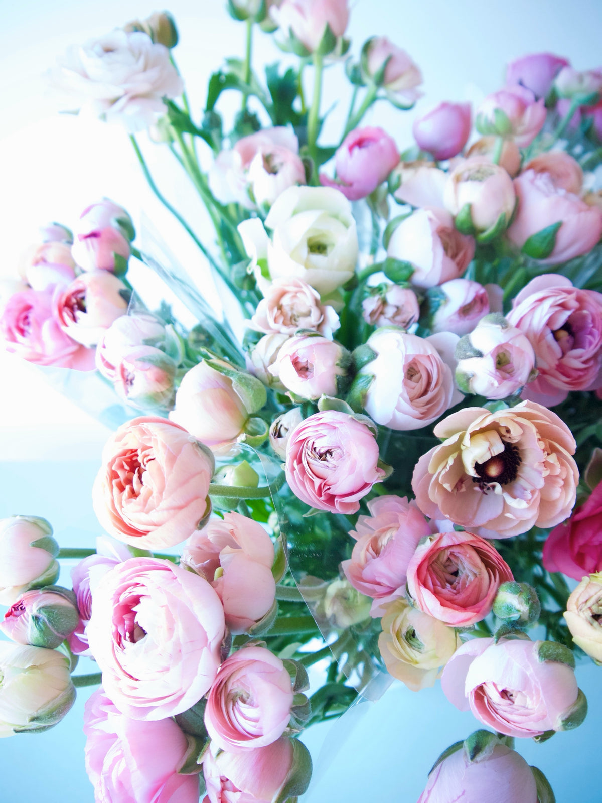 RANUNCULUS / PER BUNCH