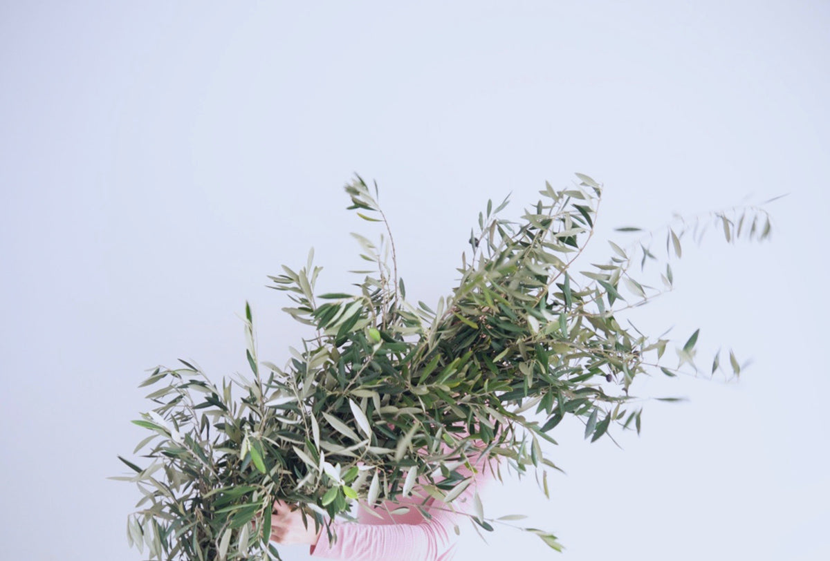 OLIVE GARLAND